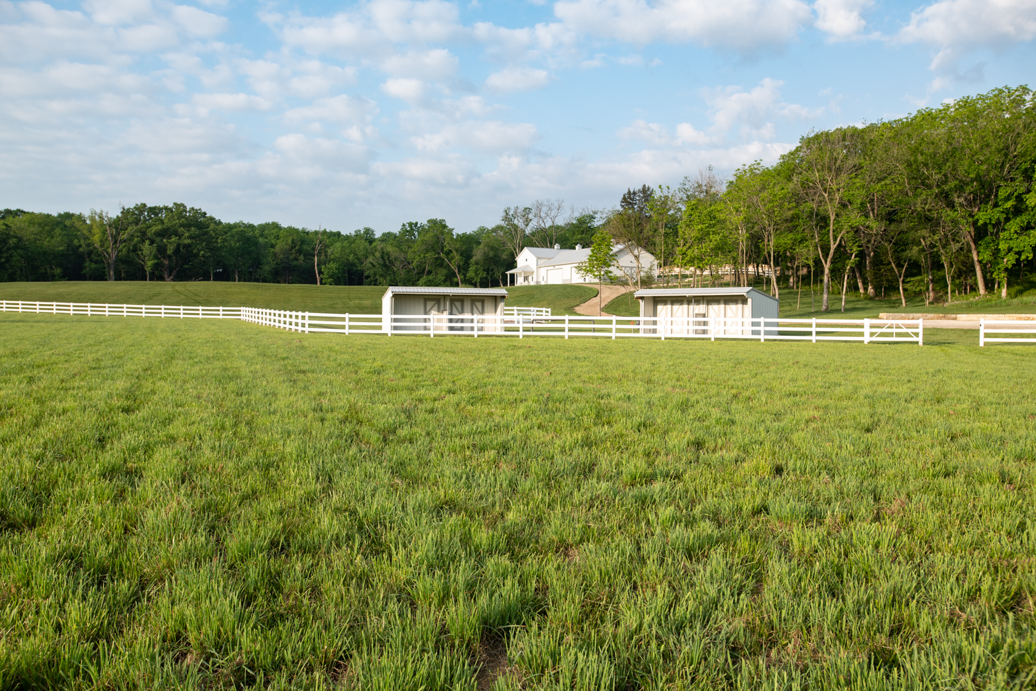 Pasture, fencing, and buildings at Hidden Timber Farm horse pasture boarding